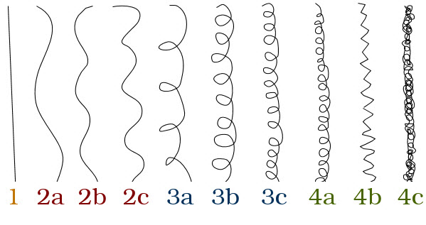 curly girl infographic for curl type
