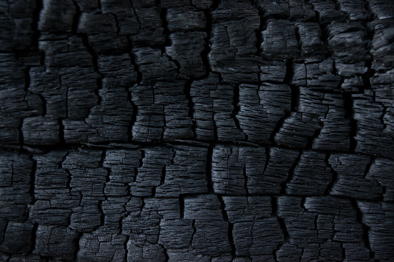 CHARCOAL DIY BEAUTY