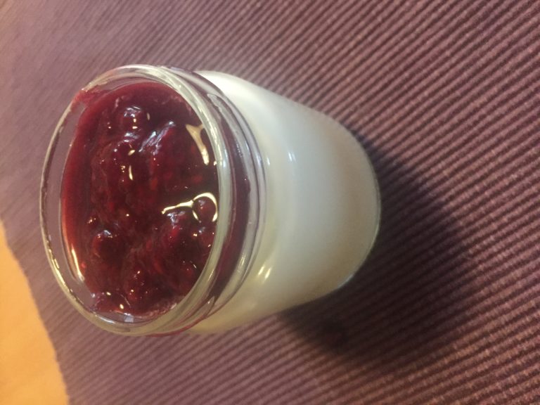 How to Make Yoghurt at Home with a Yoghurt Maker (Sugarfree Berry