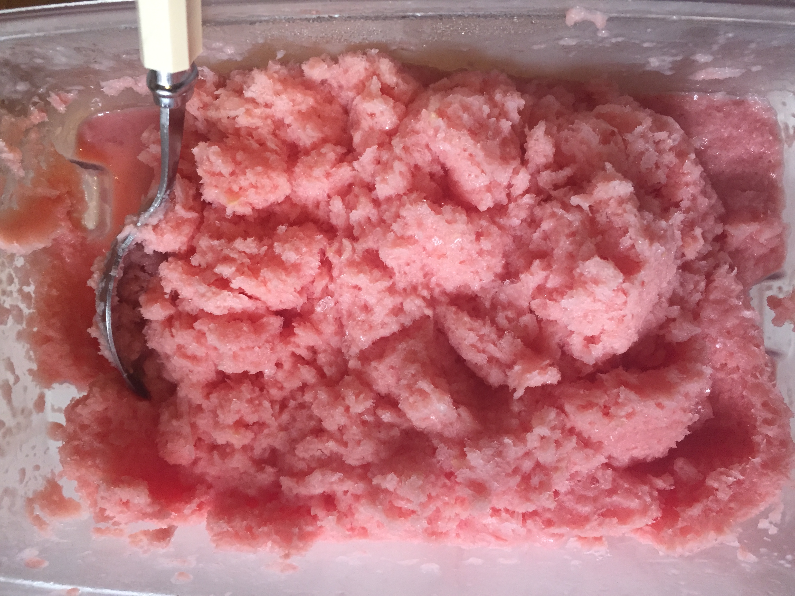 watermelon sorbet in dish